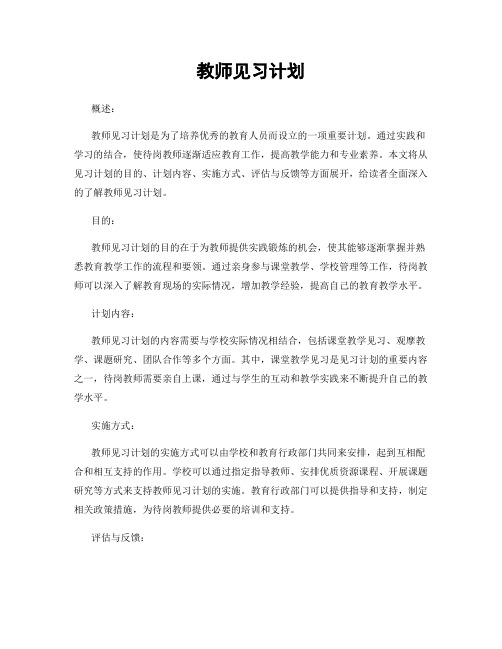 教师见习计划