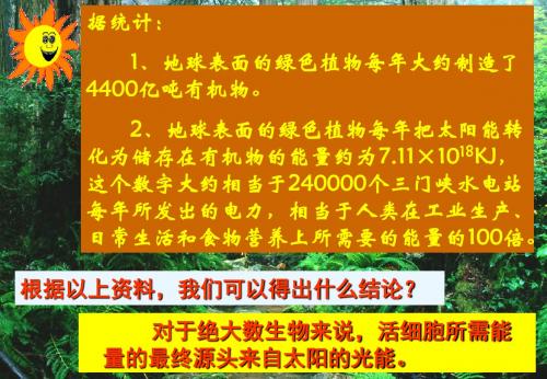 人教版高中生物必修一第五章第四节能量之源-光与光合作用教学课件 (共40张PPT)