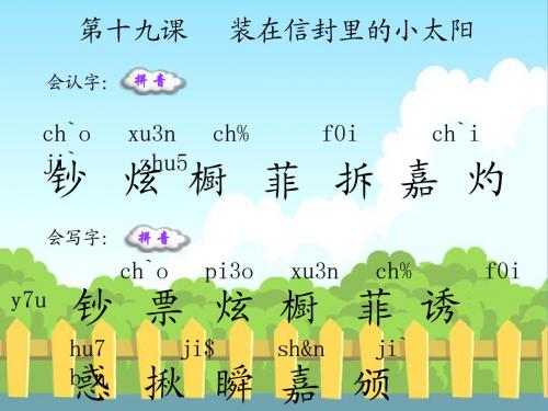 19 装在信封里的小太阳_生字词学习