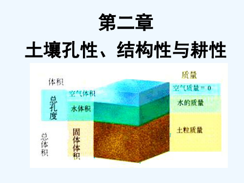 2土壤孔性结构性和耕性