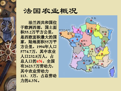 法国农业现状分析