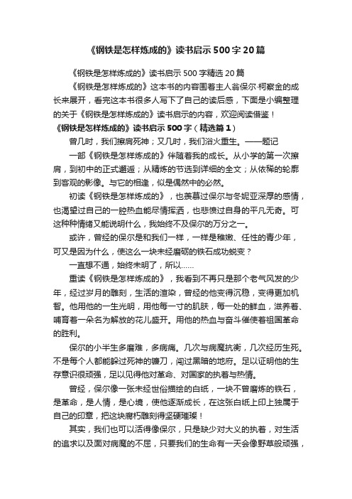 《钢铁是怎样炼成的》读书启示500字精选20篇