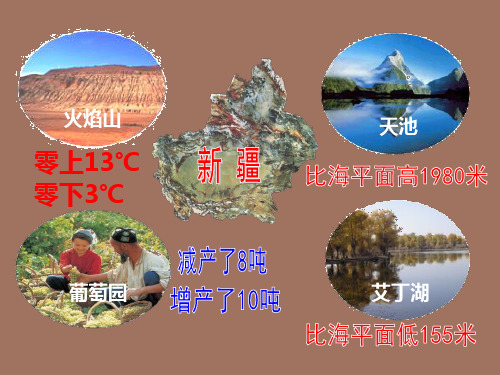 【精品课件】认识正负数完整