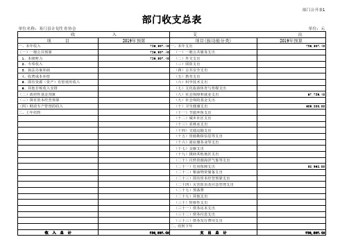 部门收支总表