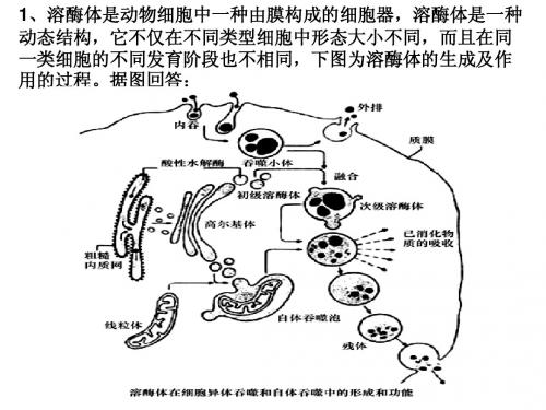 高一竞赛辅导