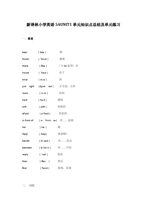 【个人精心制作】新译林小学英语5AUNIT1单元知识点总结及单元练习