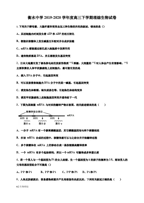 衡水中学2019-2020学年度高三下学期理综生物试卷