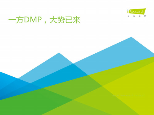 艾瑞咨询-一方DMP,大势已来_DMP沙龙_0509