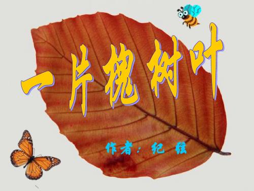 一片槐树叶