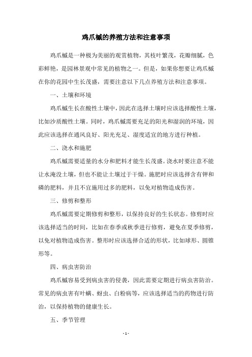 鸡爪槭的养殖方法和注意事项