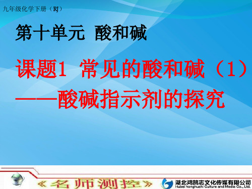 常见的酸和碱PPT课件34 人教版优质课件