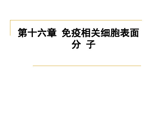 第十六章免疫相关细胞表面分子