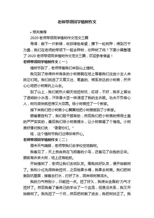 老师带领同学植树作文