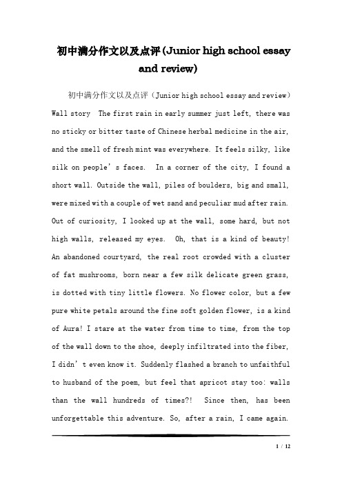 初中满分作文以及点评(Junior high school essay and review)