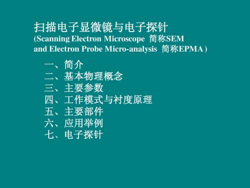 SEM1