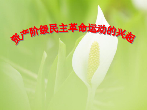 资产阶级民主革命的兴起PPT教学课件