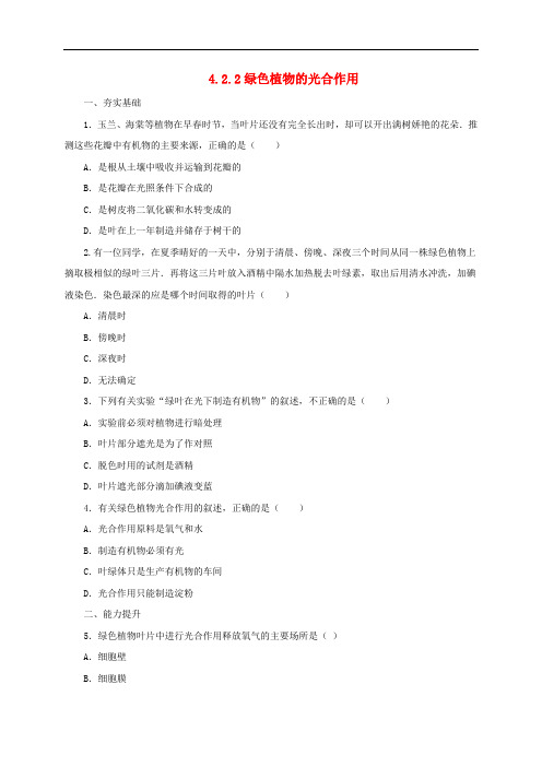 七年级生物上册4.2绿色植物的光合作用练习2北京课改版