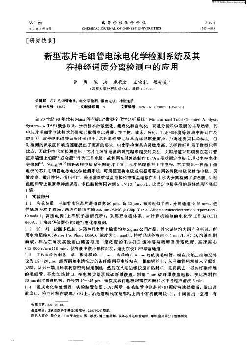 新型芯片毛细管电泳电化学检测系统及其在神经递质分离检测中的应用