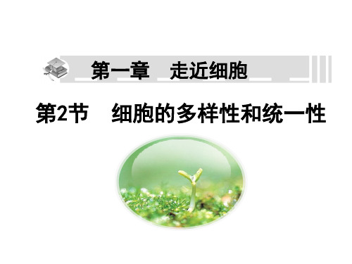 人教版高中生物必修一课件:1.2 细胞的多样性和统一性 (共45张PPT)
