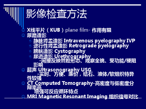 泌尿系统影像学诊断-课件(1)