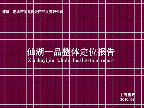 新余仙湖一品整体定位报告