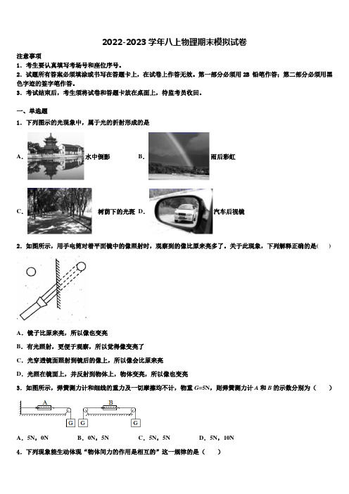 2022-2023学年安徽省名校八年级物理第一学期期末质量检测试题含解析