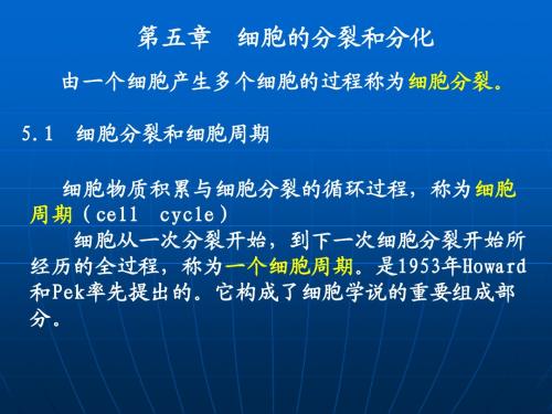 河南大学生命科学学院普通生物学5—细胞周期