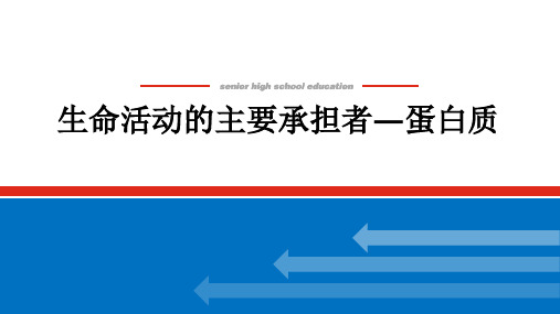 新高考生物人教版一轮复习课件1-1-3生命活动的主要承担者——蛋白质