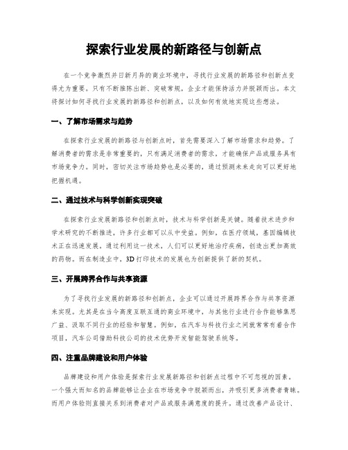 探索行业发展的新路径与创新点