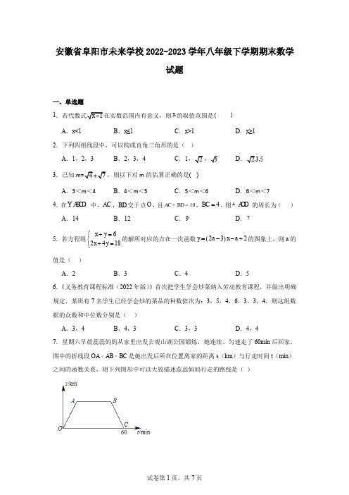 安徽省阜阳市未来学校2022-2023学年八年级下学期期末数学试题