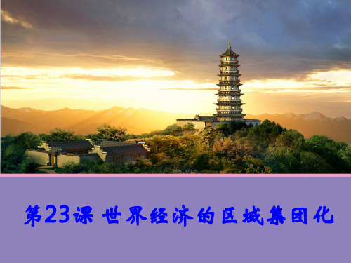 第23课 世界经济的区域集团化