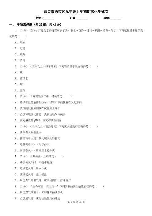 营口市西市区九年级上学期期末化学试卷