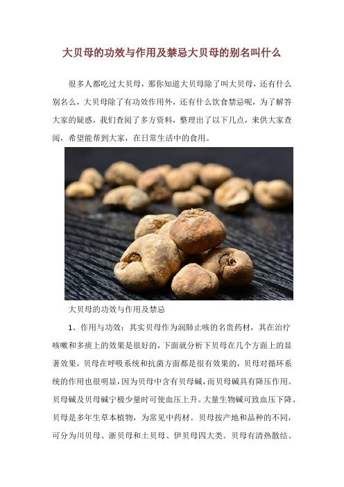 大贝母的功效与作用及禁忌 大贝母的别名叫什么