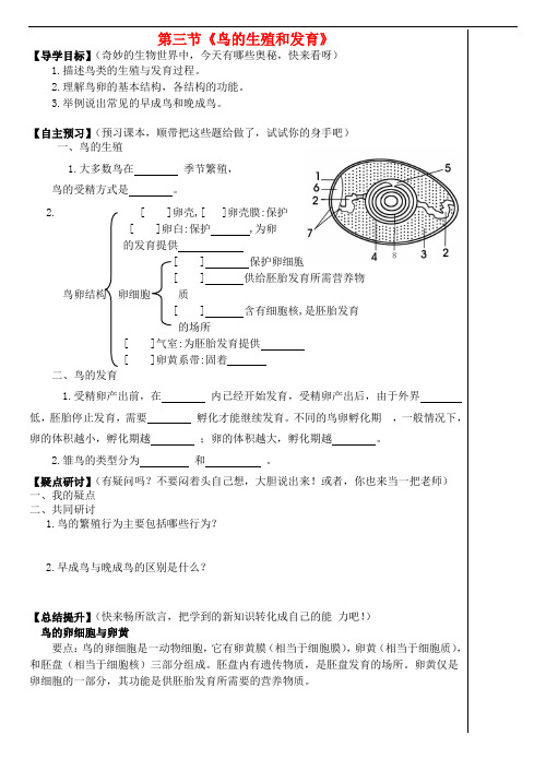 八年级生物上册 第四单元 第二章 第三节 鸟的生殖和发