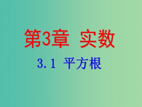 七年级数学上册 3.1 平方根课件 (新版)浙教版