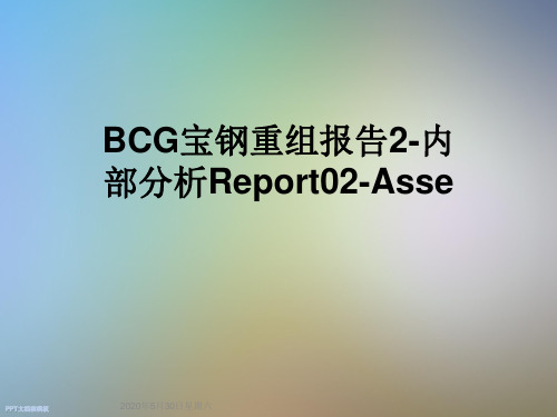 BCG宝钢重组报告2-内部分析Report02-Asse