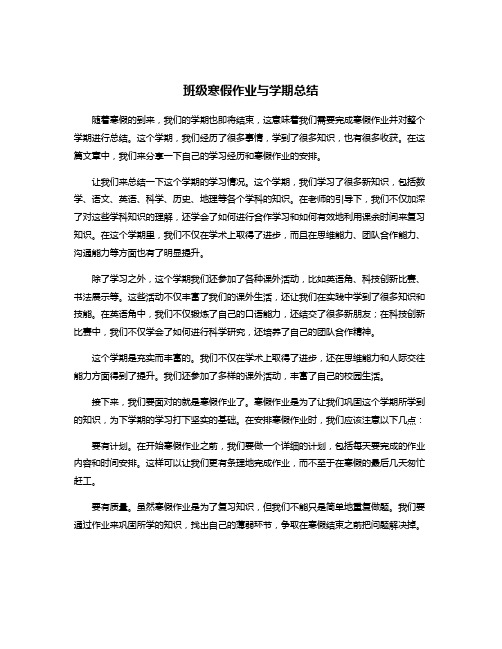 班级寒假作业与学期总结