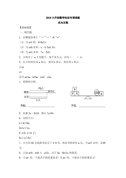 2019小升初数学专项训练---式与方程附答案