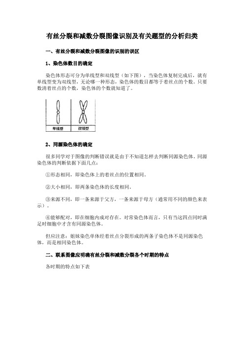 有丝分裂和减数分裂图像识别及有关题型的分析归类