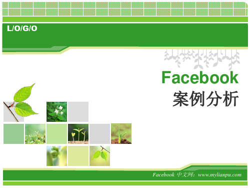 facebook案例分析