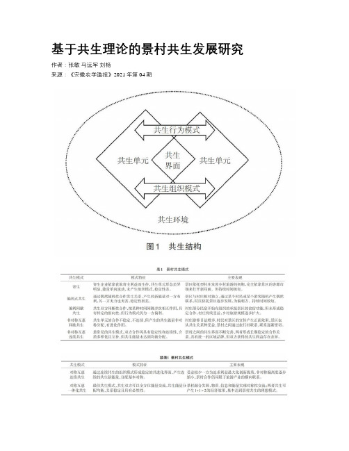 基于共生理论的景村共生发展研究