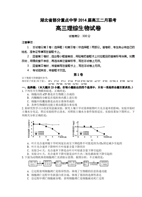 湖北省部分重点中学2014届高三二月联考生物试题及答案