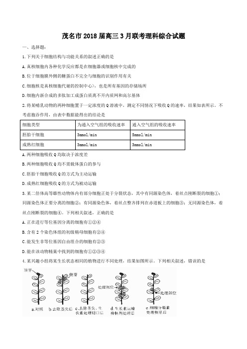 广东省茂名市2018届高三3月联考理科综合试题及答案