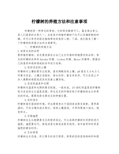 柠檬树的养殖方法和注意事项