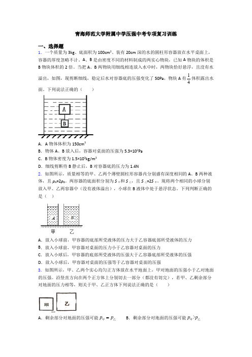 青海师范大学附属中学压强中考专项复习训练