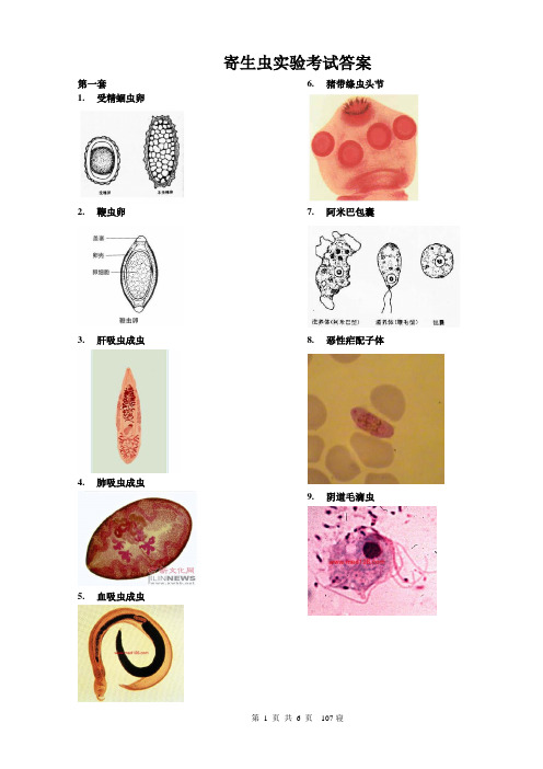 佳木斯大学寄生虫实验考试答案及图片解释,自己归纳总结