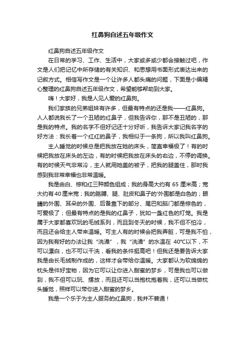 红鼻狗自述五年级作文