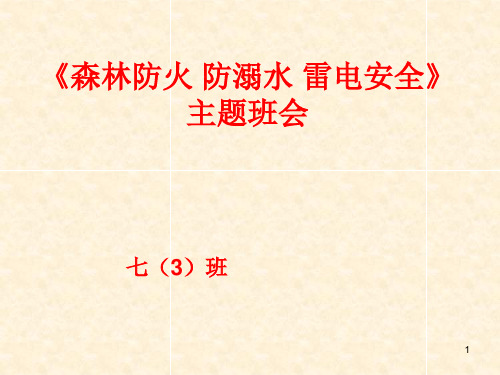 森林防火防溺水、雷电安全》七6班PPT演示文稿