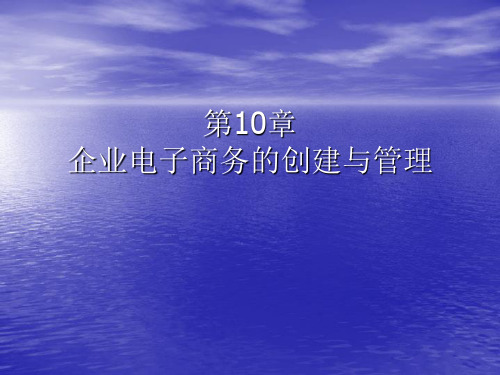 第10章,企业电子商务的创建与管理