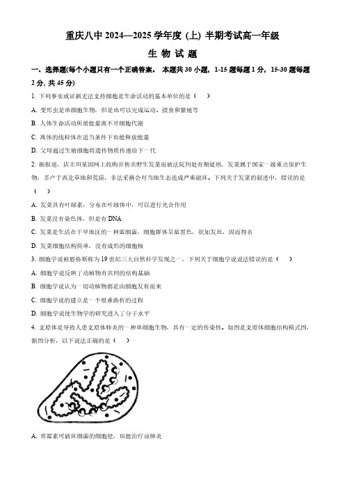 重庆市第八中学2024-2025学年高一上学期期中考试生物试题(含解析)